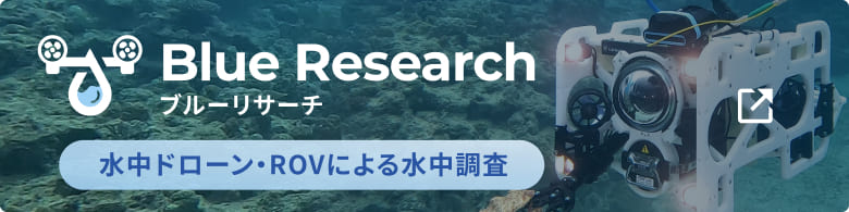ブルーリサーチ